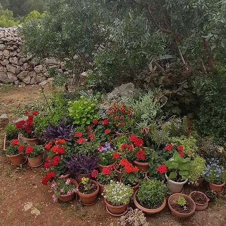 아파트 Luma 1 흐바르